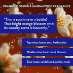 Routine Wellness Anti-Thinning Volumizing Shampoo for Thinning Hair & Hair Loss - Grow Your Confidence with Biotin & DHT Blockers - 14 oz Shampoo - Orange Blossom & Sandalwood