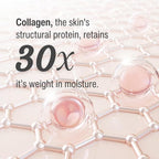 WILMA SCHUMANN Collagen Under Eye Patches, Dark Circle & Wrinkles Under Eye Mask, Pack of 10