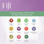 Coco Fiji Face & Body Lotion Infused With Coconut Oil | Lotion for Dry Skin | Moisturizer Face Cream & Massage Lotion for Women & Men | Lavender 12 oz, Pack of 1