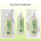 Tea Tree Conditioner for Dry Hair - Tea Tree Oil Conditioner for Damaged Dry Hair and Cleansing Conditioner for Dry Scalp Care - Sulfate Free Conditioner with Nourishing Tea Tree Oil for Hair Care