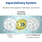 8 THE THALASSO Natural Hair Oil for Normal to Oily Hair Women & Men, Hair Care for Scalp with Stem Cells & Deep Ocean Water, Hair Detangler from Japan, Sulfate & Paraben Free, SMOOTH, 3.38 Fl Oz