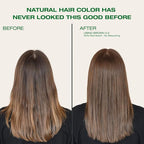 Naturigin Permanent Hair Dye - 4.0 Brown - 100% Gray Coverage, Long-Lasting Natural hair Color - Ammonia & Paraben-Free, Vegan and Plant-Infused Formula (Pack of 1)