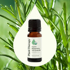 Plant Therapy Organic Rosemary Essential Oil 100% Pure, USDA Certified Organic, Undiluted, Natural Aromatherapy, Therapeutic Grade 10 mL (1/3 oz)