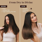 Dubai Premium Elixir - Moroccan Argan Oil for Hair & Skin - Lightweight Hair Oil for Dry Hair - Hydrating Body Serum - Boosts Shine, Smooths Frizz, Moisturizes Skin - 100 mL (3.38 Fl Oz)