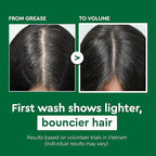 Vietnam's Touch | COCAY HOALA Ginger Lemongrass Shampoo and Conditioner Set for Hair Growth – Moisturizing & Soft Hair, Deep Cleansing for Oily Roots – Paraben Free (17.64 oz, 2 Pack)