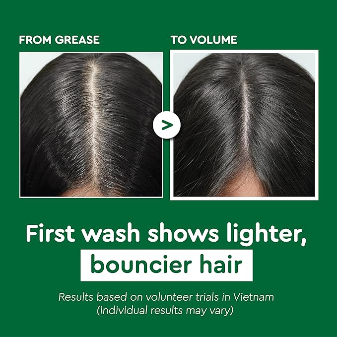 Vietnam's Touch | COCAY HOALA Ginger Lemongrass Shampoo and Conditioner Set for Hair Growth – Moisturizing & Soft Hair, Deep Cleansing for Oily Roots – Paraben Free (17.64 oz, 2 Pack)