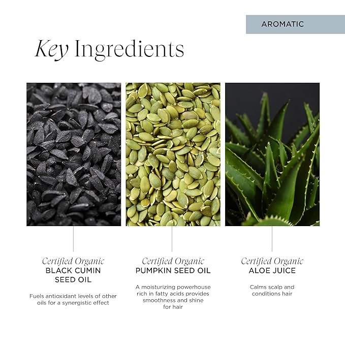 Intelligent Nutrients Amplifi-hair Style & Restyler Spray, Volume Boost and Texture Styling for All Hair Types, Vegan, 5 Oz