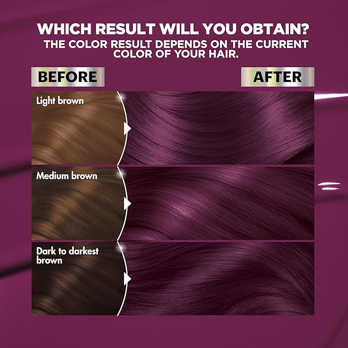 Garnier Hair Color Nutrisse Ultra Color Nourishing Creme, V2 Dark Intense Violet (Spiced Plum) Purple Permanent Hair Dye, 2 Count (Packaging May Vary)