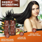 Moroccan Argan Oil Shampoo and Conditioner Set - Sulfate Free, Anti Frizz Hydrating Care for Women - Deep Moisturizing Treatment for Color, Keratin Treated, Curly, Damaged and Dry Hair