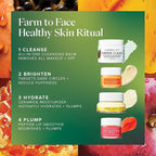 Farmacy Bestsellers Skin Care Set - Includes Green Clean Cleansing Balm, Wake Up Honey Eye Cream, Honey Halo Face Moisturizer + Lip Smoothie - Travel Size Skincare for Healthy, Glowing Skin (4 Count)