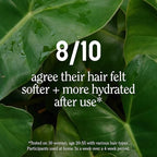 California Naturals Moisture Shampoo and Conditioner for Dry, Damaged Hair, Hair Care Bundle for Women and Men, Natural, Vegan, Cruelty, Silicone, Paraben, and Sulfate Free, Color Safe, 20 fl oz