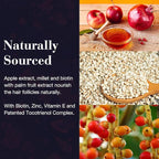 NEW NORDIC Hair GRO, Hair Growth Supplement, Biotin & Palm Fruit Extract Tocotrienols for Natural Regrowth, 60 Count (Pack of 1)