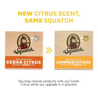 Dr. Squatch Natural Bar Soap for Men - Cold Process Soap with No Harsh Chemicals - Summer Citrus, Cool Fresh Aloe, Gold Moss, Bay Rum & Pine Tar (5 oz, 5-Pack)