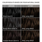 Madison Reed Radiant Hair Color Kit - 4NGV Darkest Golden Brown with Warm Tones (Venezia Brown), Dimensional Gray Hair Blending Permanent Hair Dye, PPD-Free & Ammonia-Free, 1 Pack