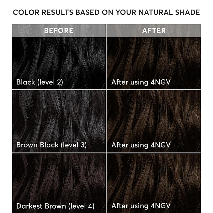 Madison Reed Radiant Hair Color Kit - 4NGV Darkest Golden Brown with Warm Tones (Venezia Brown), Dimensional Gray Hair Blending Permanent Hair Dye, PPD-Free & Ammonia-Free, 2 Pack