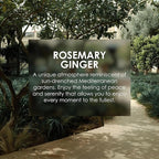 Jean & Len Rosemary & Ginger Conditioner, for dull and lackluster hair, provides intensive care and improves combability, with a spicy scent, without parabens or silicones, 10.14 Fl. Oz.