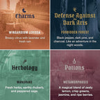 Every Man Jack Harry Potter Collectors Body Wash Gift Set - Includes 4 Body Washes with Clean Ingredients & Hogwarts Inspired Scents - Forbidden Forest, Charms, Herbology, Potions