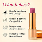 Lushlips Tinted Lip Balm with 10% Squalane, Jojoba Oil and Vitamin E – Hydrating, Moisturizing – Natural skincare balm with Ceramides, Hyaluronic Acid & Licorice Extract 003 Radiant Ruby