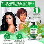 Tea Tree Oil Conditioner - Sulfate and Paraben Free - Anti Dandruff Treatment for Itchy, Dry Scalps - Ideal for Women and Men with Oily Hair and Scalp Buildup