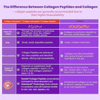 2 Pack Collagen Gummies for Women & Men 3000mg, Hydrolyzed Collagen Peptides with Antioxidant Blend & Digestive Enzymes, Multi Collagen (Type I,II,III,V,X) for Anti-Aging, Hair, Skin, Nails,Sugar Free