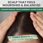 Tea Tree Oil Shampoo and Conditioner MaxTherapy Set, Itchy Scalp Relief, Refreshes & Cleanses Dandruff & Buildup, Clarifying for Oily Hair, Women & Men, 16 fl oz Each