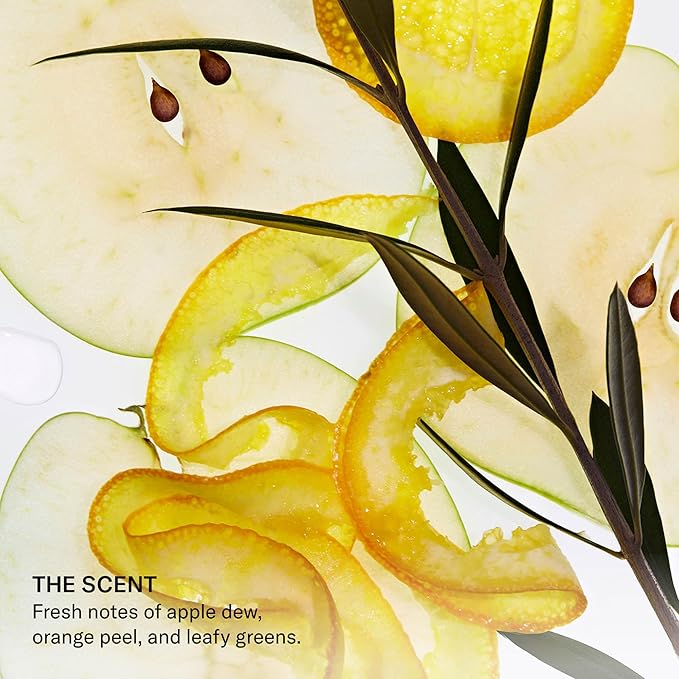 SEEN Conditioner - Scented - Non-Comedogenic & Hair Conditioner- Dermatologist-Developed -Safe for Sensitive & Acne Prone Skin