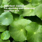 Epielle Heartleaf Calming Serum Sheet Masks (5pk) | Korean Skincare | Facial Sheet Mask | Kbeauty, Spa Gifts for Women