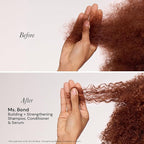 L'ANGE HAIR Ms. Bond Building + Strengthening Shampoo | Restores Hair Bonds | Intensive Treatment for Breakage Recovery | Smooth Finish | Moisturizing Formula | 8 fl oz Bottle