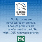 Eco Lips Conditioning Lip Soother Lip Balm – Natural & Moisturizing Lip Care with Shea & Murumuru Butter, Clean Beauty, Daily Hydration & Protection for Chapped Lips, Variety 3-pack 0.15 oz.