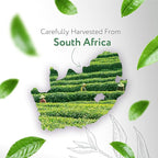 HBNO Tea Tree Oil - Huge 32 oz (950ml) Large Size - Ideal for Diffusers, Cleaning Agents, Deodorizers, and Flavoring Agents (Glass Bottle).