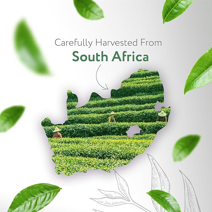 HBNO Tea Tree Oil - Huge 32 oz (950ml) Large Size - Ideal for Diffusers, Cleaning Agents, Deodorizers, and Flavoring Agents (Glass Bottle).