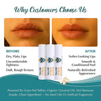 Moisturizing Tallow Lip Balm – Grass-Fed Beef Tallow with Organic Coconut Oil, Beeswax, and Vitamin E – Unscented Lip Balm Set – Travel Essential - 3-Pack