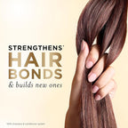 Pantene Conditioner, Sheer Volume - 72-Hour Fullness, Lightweight Nourishment with Pro-Vitamin B5 + Antioxidants, Fine, Thin, Color-Treated Hair, Paraben Free, Strengthens Bonds, 25.1 Fl Oz