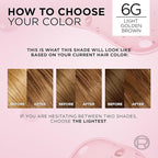 L'Oreal Paris Excellence Crème Permanent Hair Dye, Triple Care Hair Color with Pro-Keratine Complex for 100% Gray Hair Coverage, 6G Light Golden Brown, 1 Kit (Pack of 2)