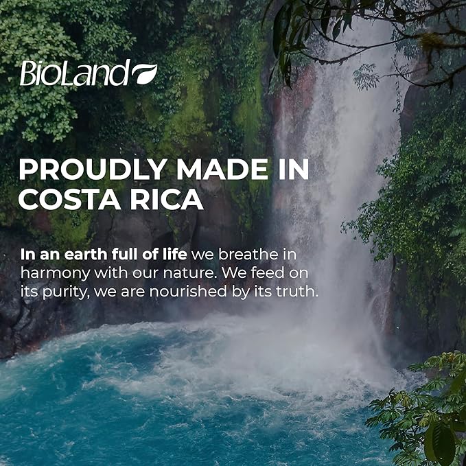 Coconut Milk Conditioner - Ultra-Nourishing Conditioner for Curly & Dry Hair - 13.53 fl oz (400mL)