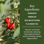 Super Antioxidant Night Cream, 2oz – Hydrating Night Moisturizer with Rosehips, Sea Buckthorn & Hyaluronic Acid – Vegan, Organic