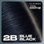 Clairol Root Touch-Up by Nice'n Easy Permanent Hair Dye, 2B Blue Black Hair Color, Pack of 1