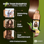 HERBBY Gray Hair Coverage Shampoo & Conditioner - Color Transform with 9 Herbal Extracts, Long-Lasting (6-8 Weeks), Shiny, Even Coloring, Instant Hair Dye, 500 ml (CHESTNUT BROWN)