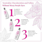 Maison 276 Pre-Shampoo, Shampoo and Conditioner for Silver, Gray & Blonde Hair, 3-Step System Tone-Correcting Shampoo, NOT a Purple Shampoo, Neutralizes Brassiness, Sulfate-Free, 3x 8oz Bottles