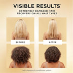 Pantene Pro-V Miracles Sulfate Free Shampoo, Extreme Damage Care Regenerative Oil Blend, Soften and Strengthen Stressed, Dry, Damaged Hair, Argan & Jojoba Oils, Paraben-Free, 13.5 Fl Oz