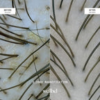 WELLBEL Gelée Detox Shampoo – pH-Balanced Scalp Detox, Gently Exfoliates & Removes Buildup, Dermatologist-Tested, Color-Safe, Hydrating & Strengthening Formula for Healthy, Bouncy Hair