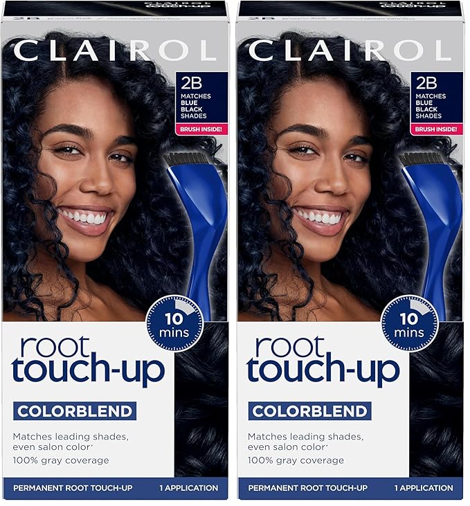 Clairol Root Touch-Up by Nice'n Easy Permanent Hair Dye, 2B Blue Black Hair Color, Pack of 1 (Pack of 2)