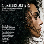 Nécessaire Rosemary Shampoo | Multi-Protein Strengthening Cleanse For Thinning Hair. For Women + Men. Good For All Hair Types/Textures. Free Of Sulfates. Color-Safe. 250 ml / 8.4 oz