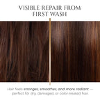 HADAT Intensive Repair Shampoo – Premium Strengthening Formula with Moringa Oil & Hyaluronic Acid – For Dry, Damaged, Color-Treated Hair – Low Sulfate – Salon Quality