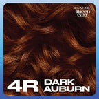 Clairol Nice'n Easy Permanent Hair Dye, 4R Dark Auburn Hair Color, Pack of 1