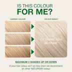 Naturigin Permanent Hair Color, 11.2 Extreme Ash Blonde, Ammonia Free, 100% Gray Coverage, Nourishing Natural Formula, For All Hair Types, Long-Lasting, Vegan & Cruelty-Free, 1 Pack