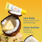 Seaweed Bath Co. Hydrating Clear Mineral Lip Shine SPF 20 Sunscreen Zinc Oxide Lip Balm, 0.28 Oz (6 Pack), Moisturizing Care for Dry, Chapped Lips