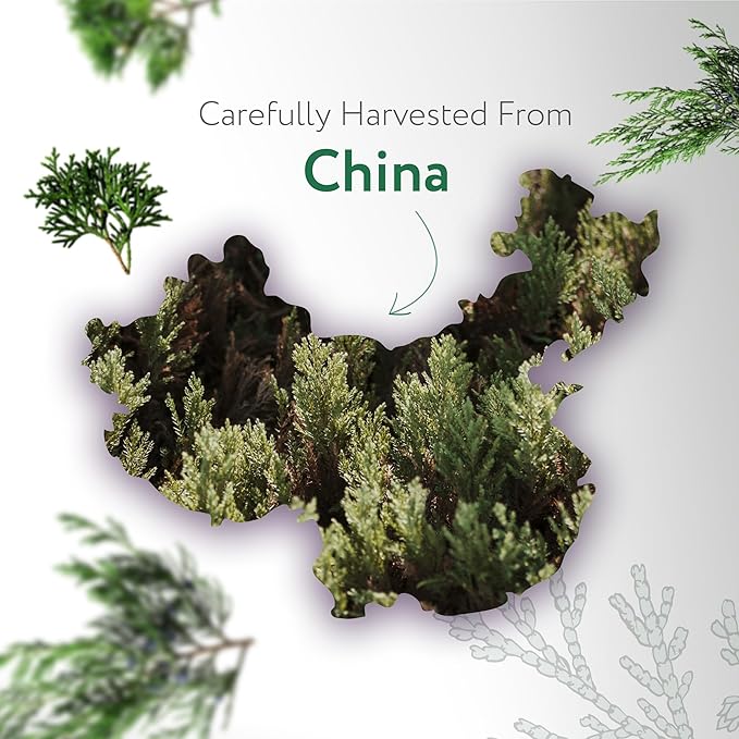 HBNO Cedarwood Essential Oil - Huge 4 oz (120ml) Value Size - Natural Cedarwood Oil - Perfect for Cleaning, Aromatherapy, DIY, Soap & Diffuser