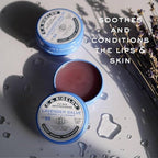 C.O. Bigelow Lavender Salve Tins, Pack of 3 Lip Balm Tins, All Purpose Salve for Lips, Cuticles, Hands & Dry Skin, Lip Balm Set, 0.8 oz