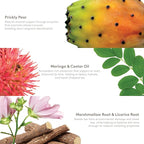 S'ABLE Labs - Moringa Lip Salve | Deeply Moisturize, Soften, Improve Lip Appearance | Prickly Pear + Castor Oil | Melanin-Inclusive Skincare (Sister Wife; 15 mL | 0.5 fl oz)